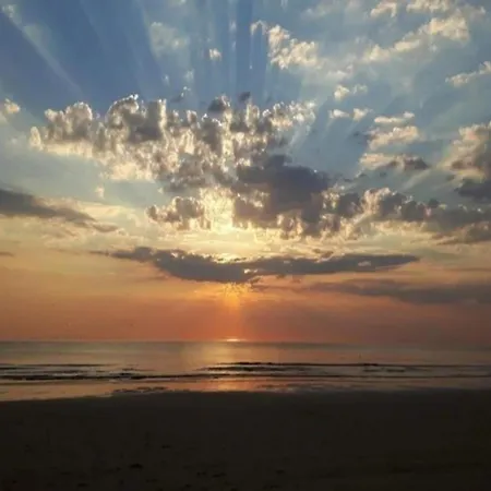 Dom wakacyjny In Bergen Near North Sea Beach, Cleaning Included *